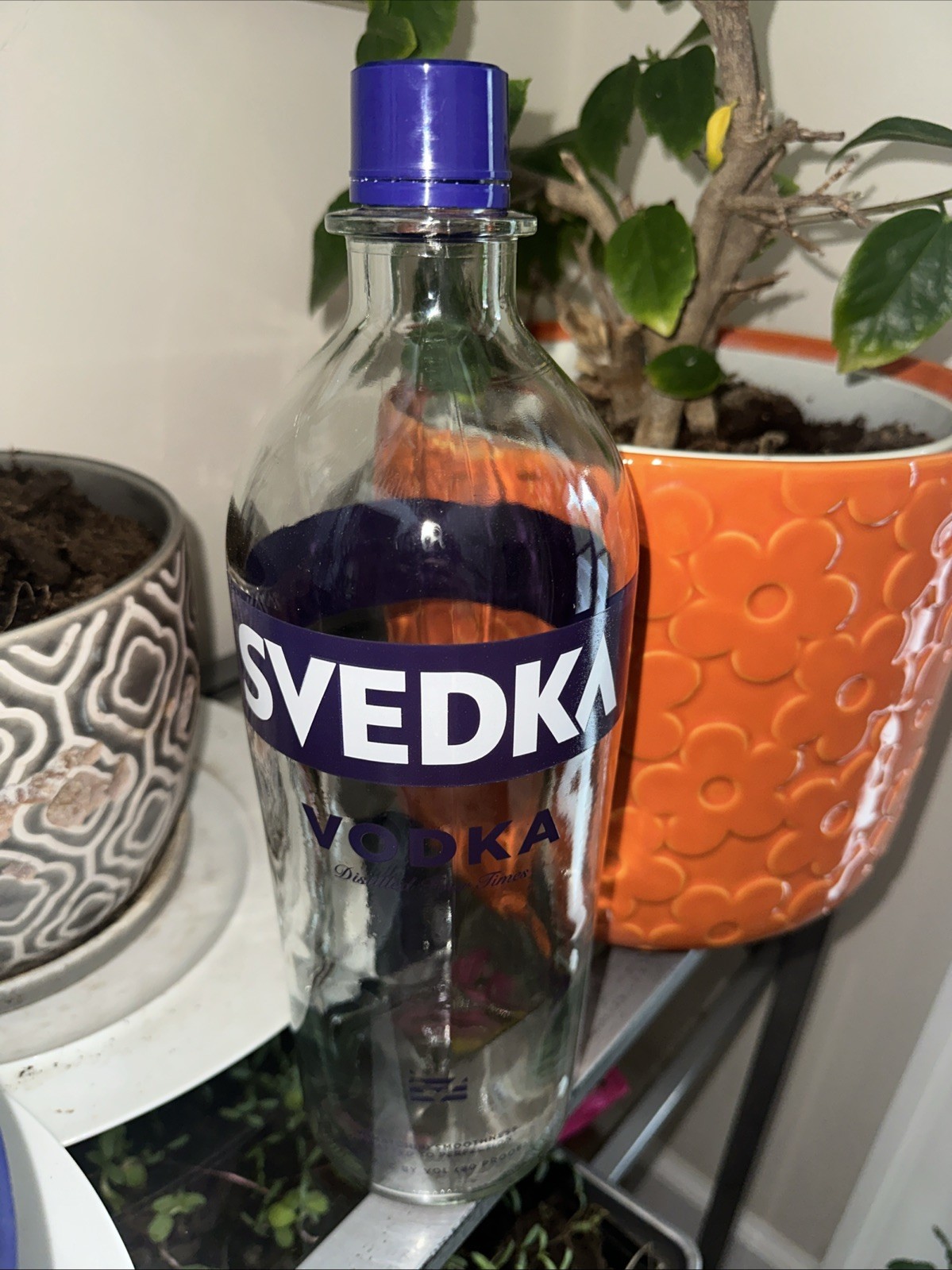 Svedka Swedish Vodka 1.75 Empty Bottle W/Cap 2 Available Buy One Or Both Combine