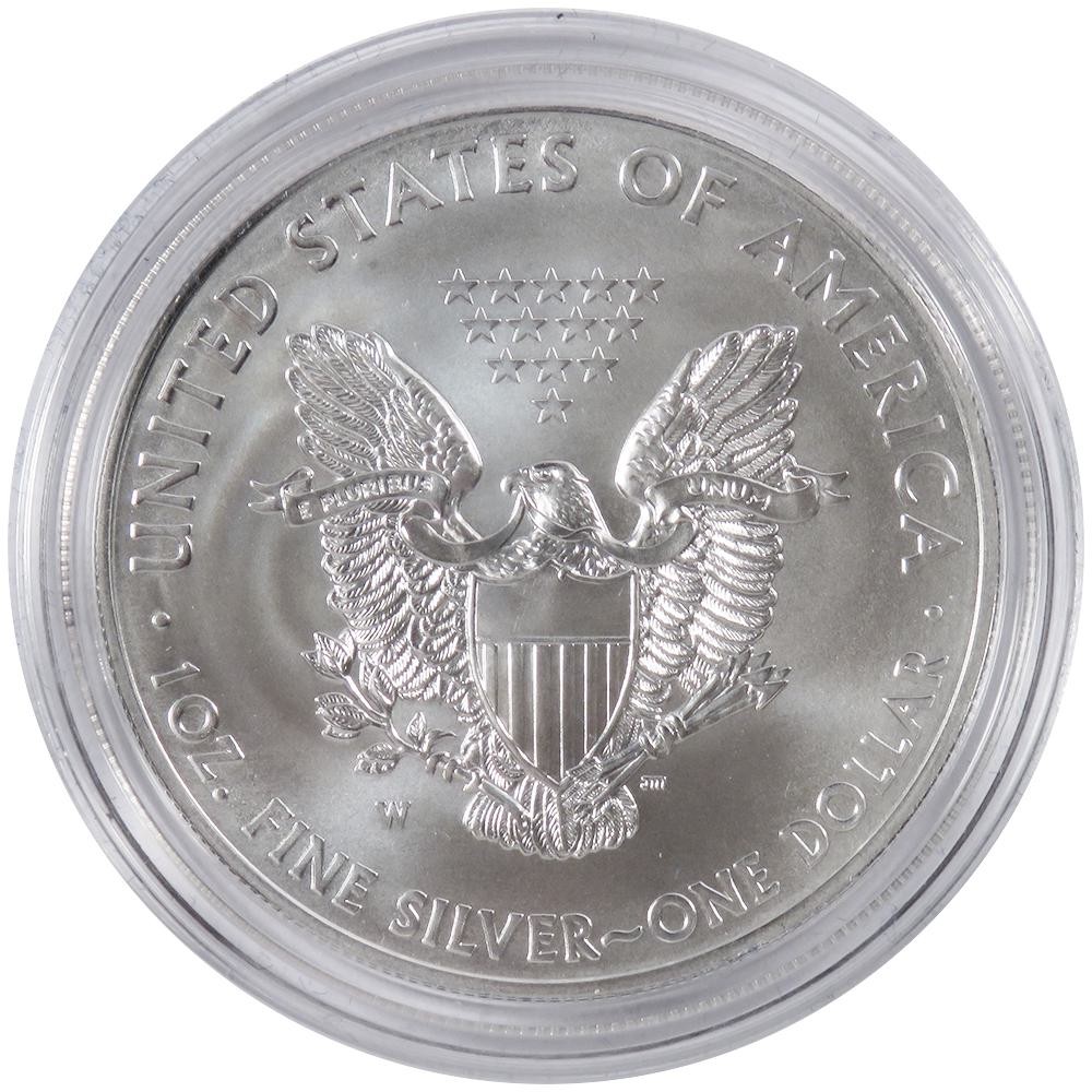 2013-W Burnished Silver Eagle (OGP)