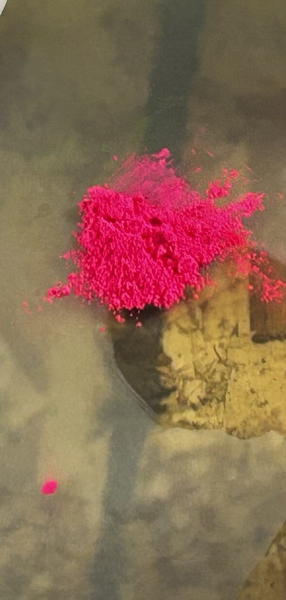 Fluorescent Pink Pigment Powder 100 Grams