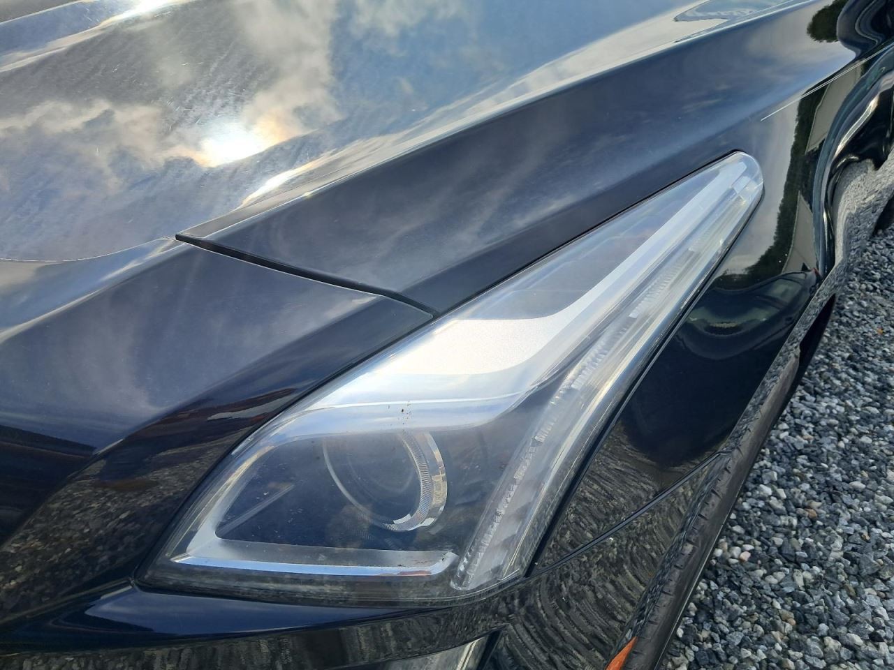 CTS 2019 Glove Box 4802630