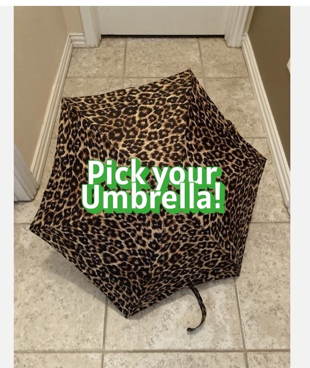 Pick your Umbrella! Various colors/styles