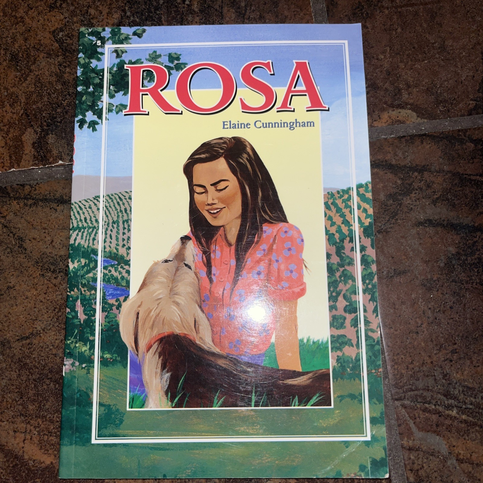 Abeka 5th Grade Rosa Reading Homeschool Educational Language Arts