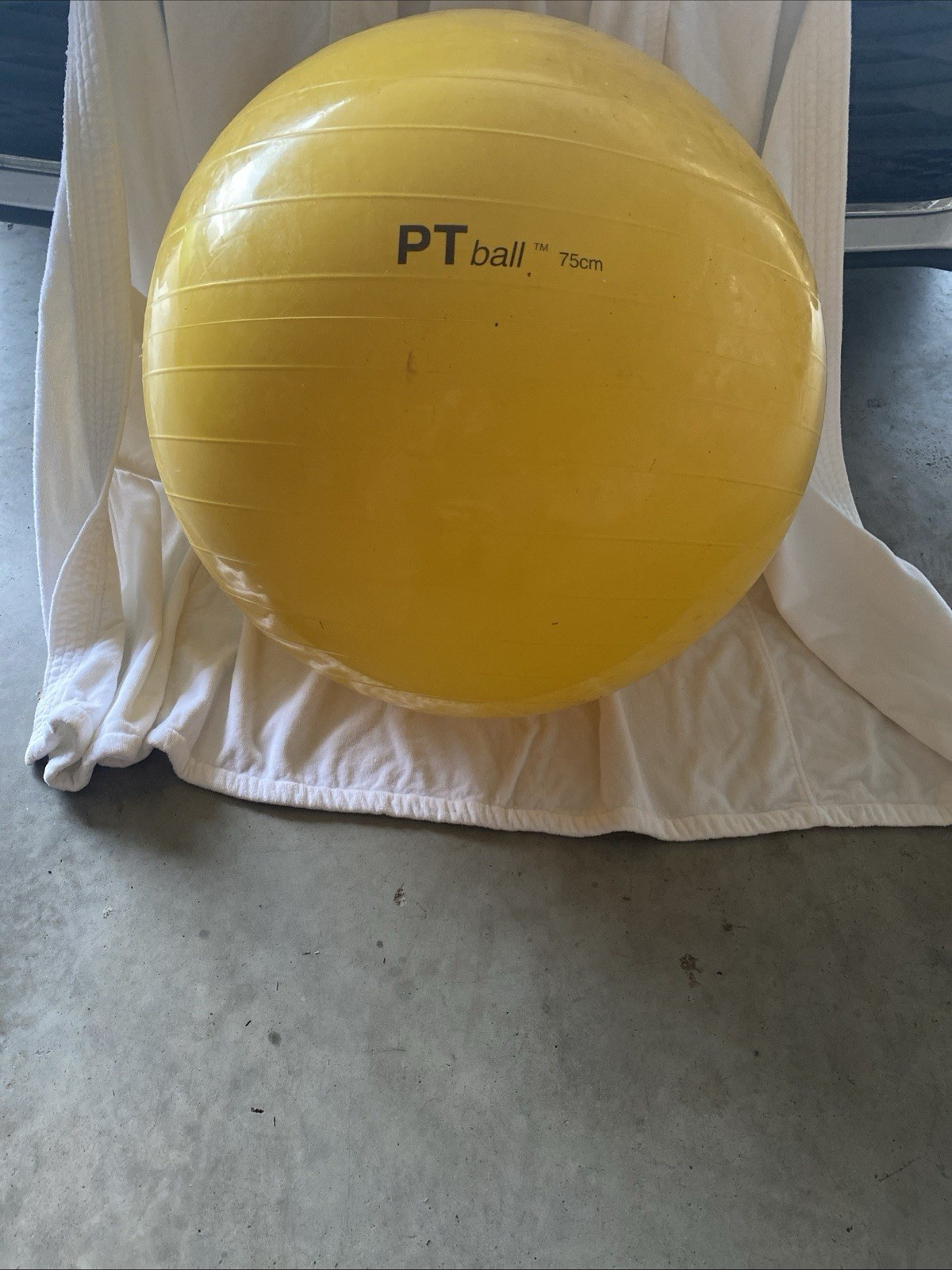 Exercise Ball PT 75 CM New