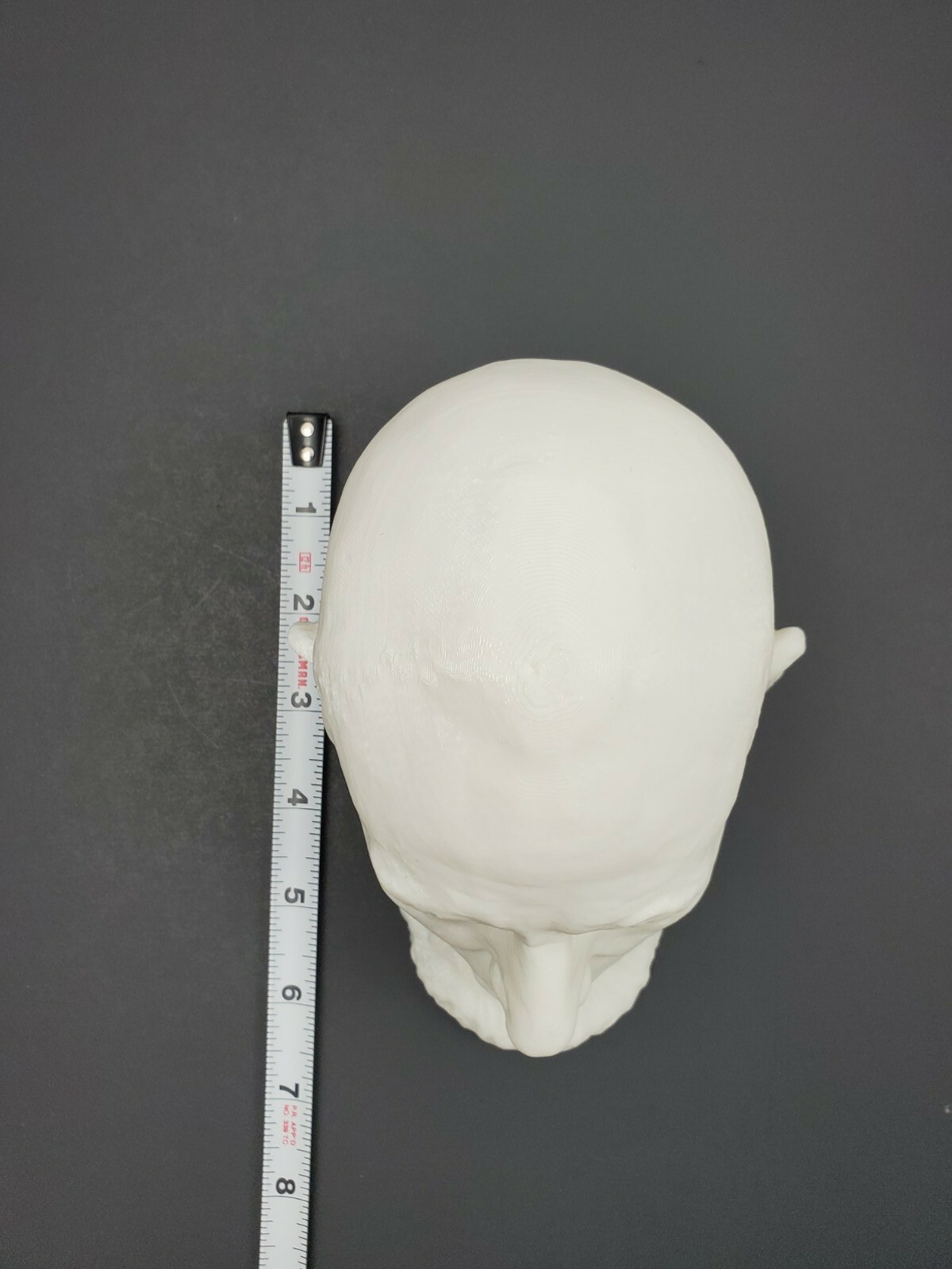 Abraham Lincoln Life Mask Replica 3D print