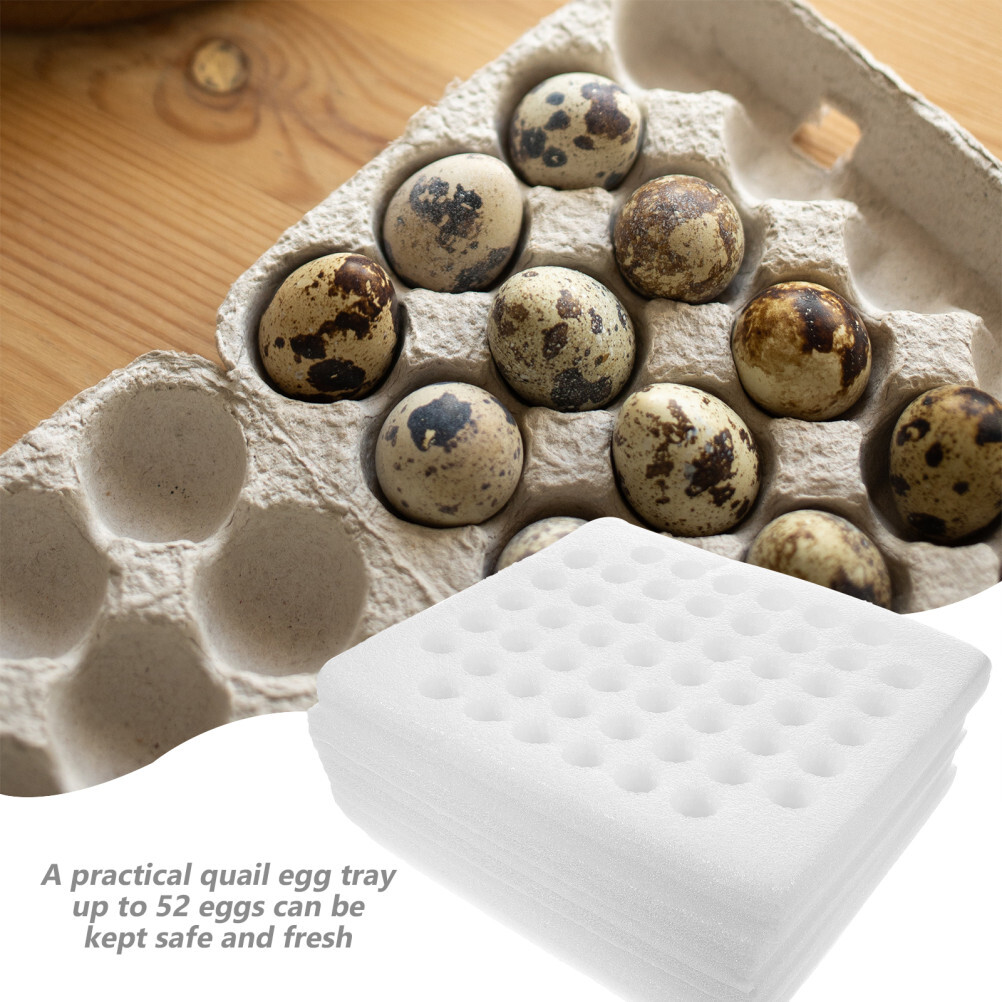 2 Sets Egg Tray Packaging Quail Stand Holder Reusable Boxes Storage Container