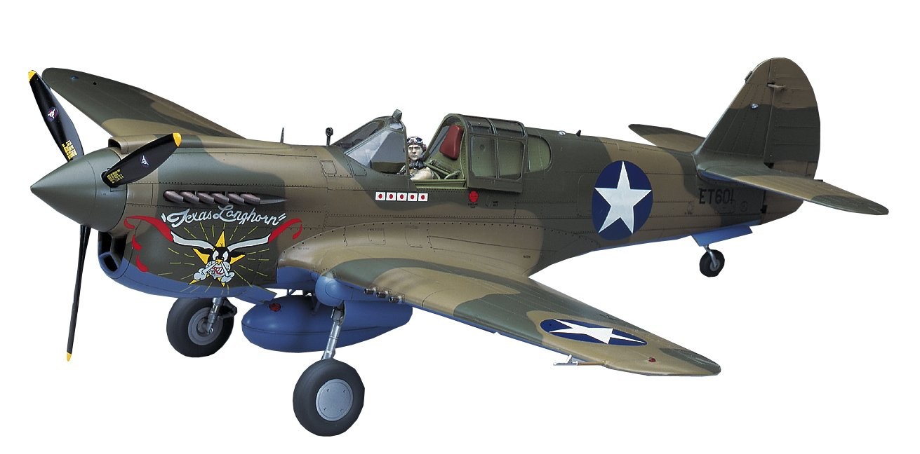 Hasegawa 1/32 American Army P-40E War Hawk Plastic Model ST29