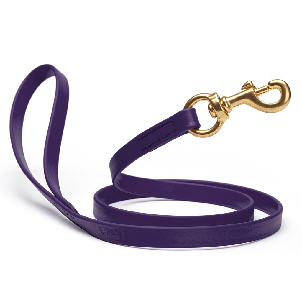 Dog Pet Leash with Brass Hardware W 5/8” L 6 FT Violet Purple