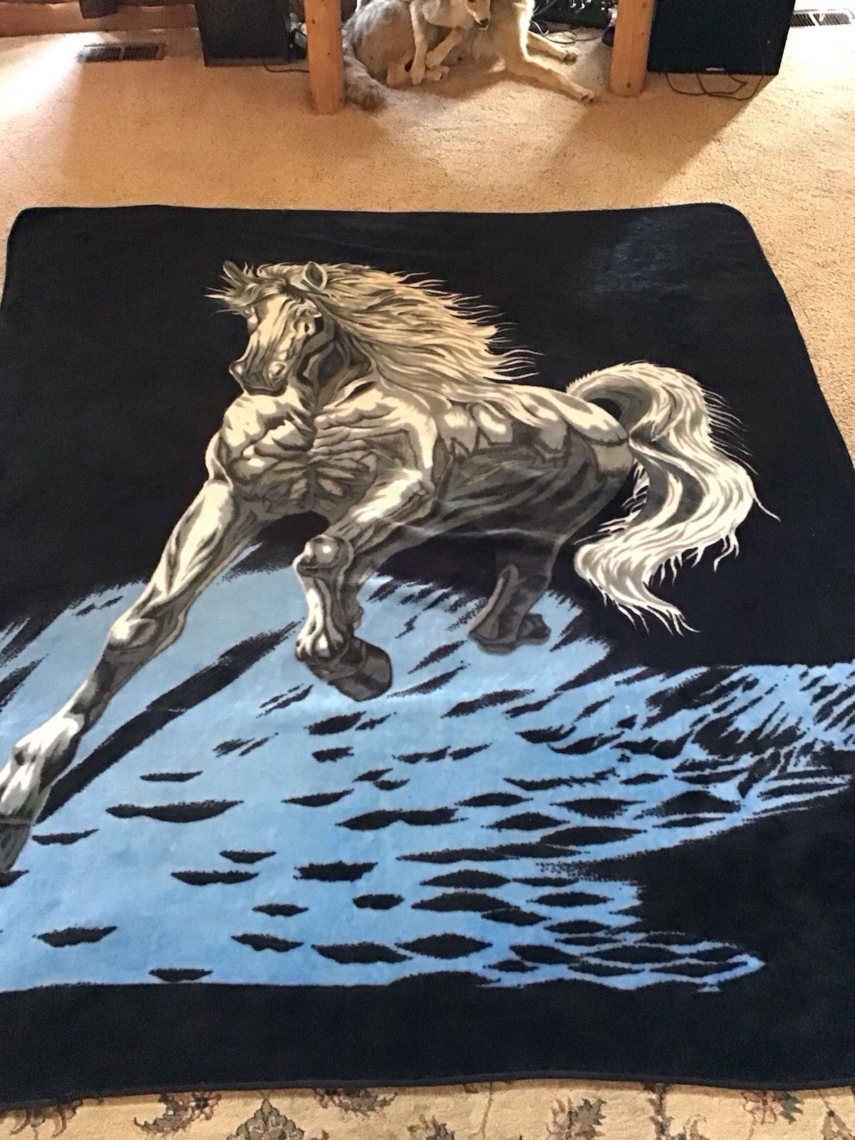 Horse Blanket White Stallion White Horse Black Back Ground Fleece