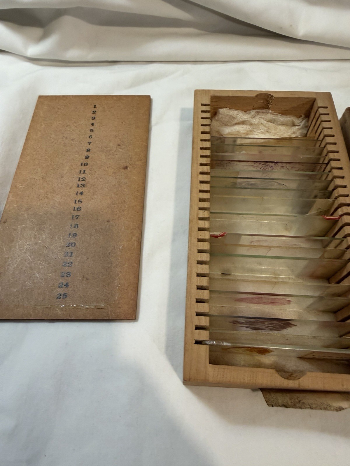Vintage Microscope Medical Lab Slides