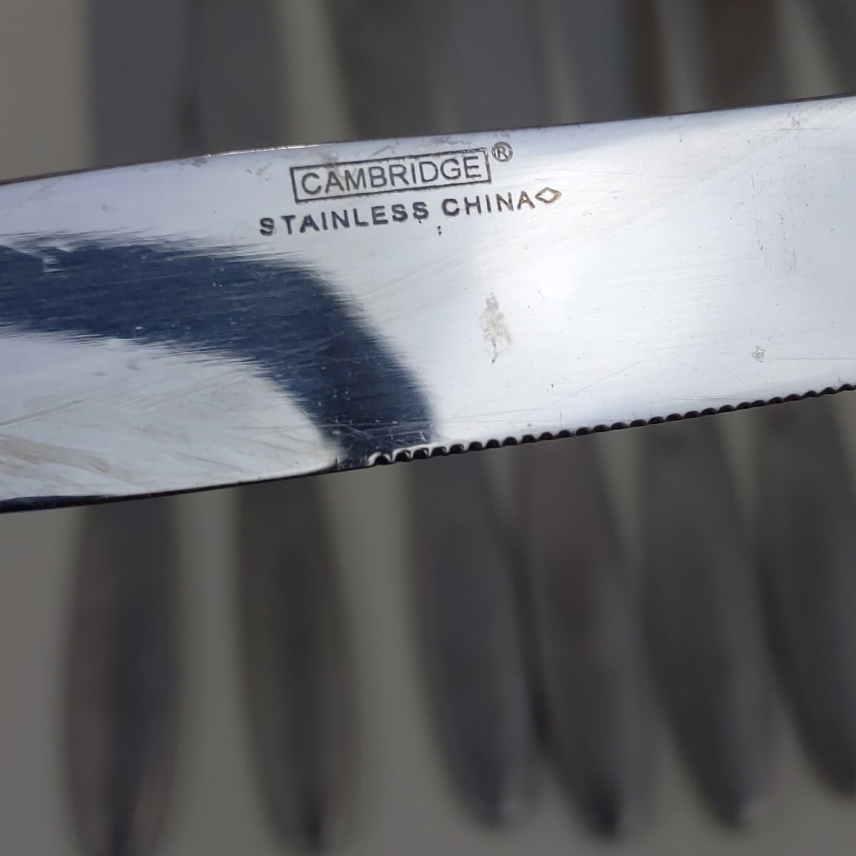 Cambridge Silverware Dinner Knife Flatware Stainless Steel Two Tone Silver 10