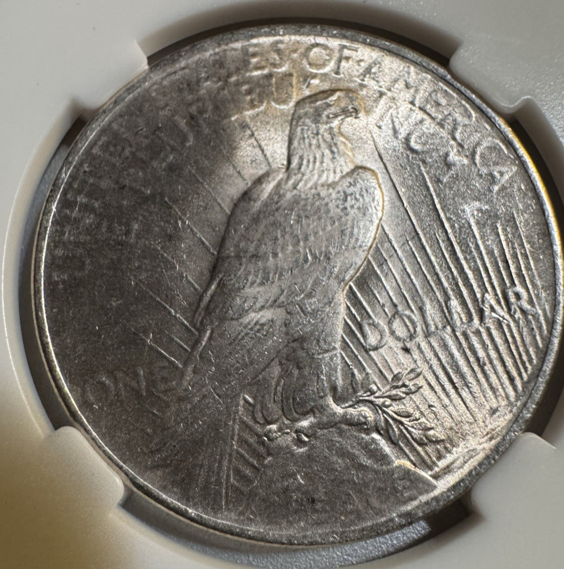 1924‑P Peace Dollar MS62–MS64 Range • Bright Luster • 26.702g