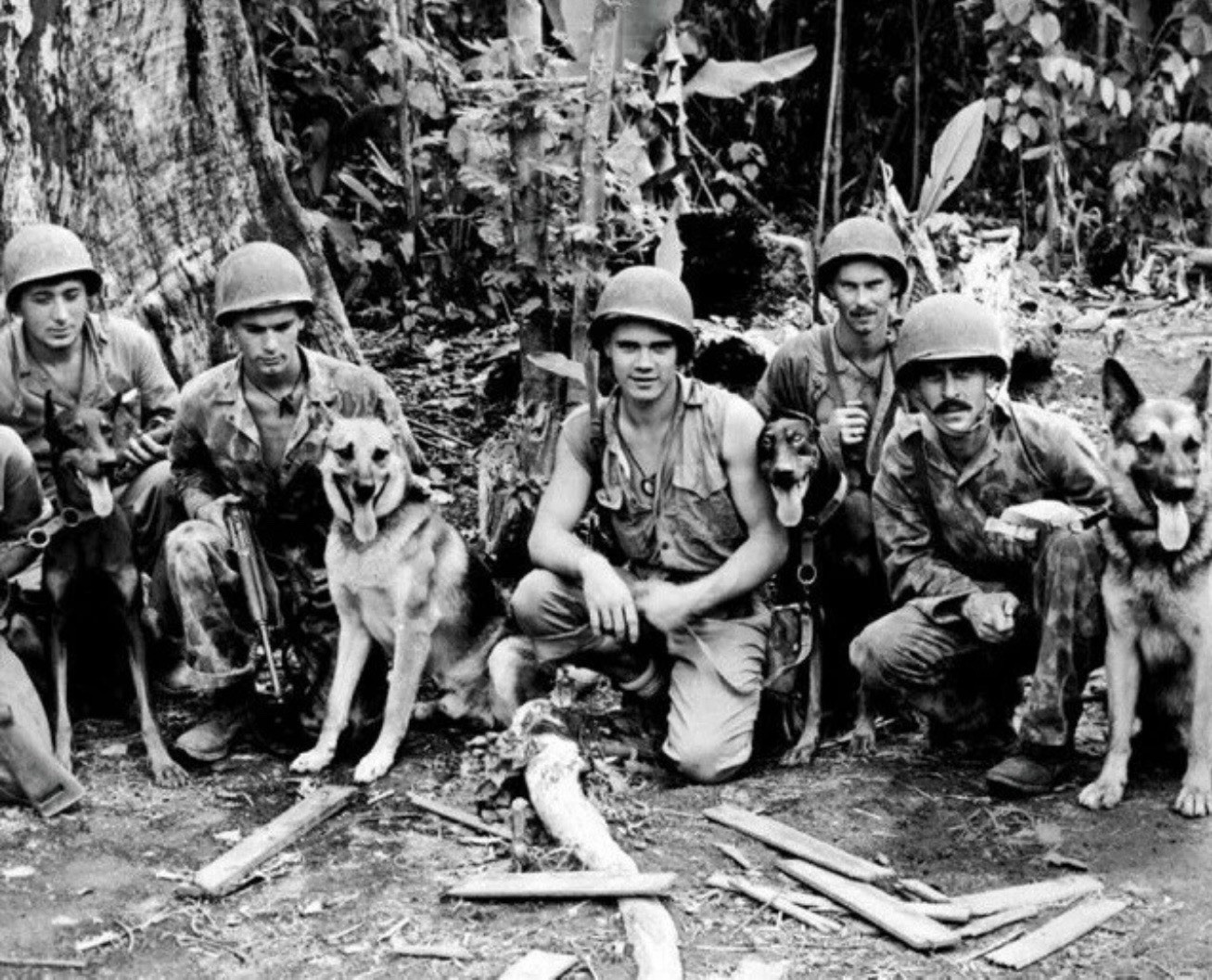 U.S. Marines with their War Dogs in the Pacific WWII WW2 8x10 Photo