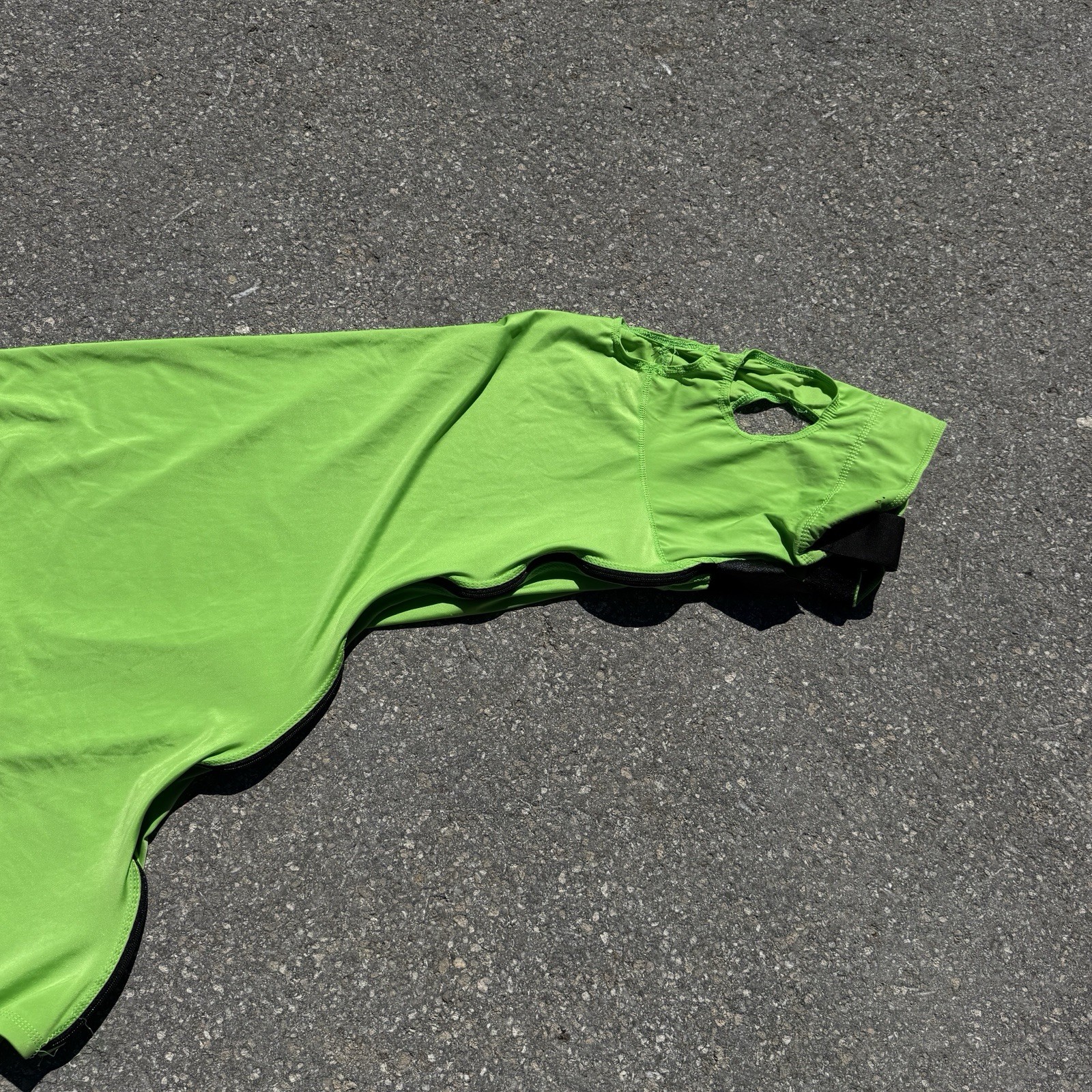 Large Green Horse Sleazy Hood