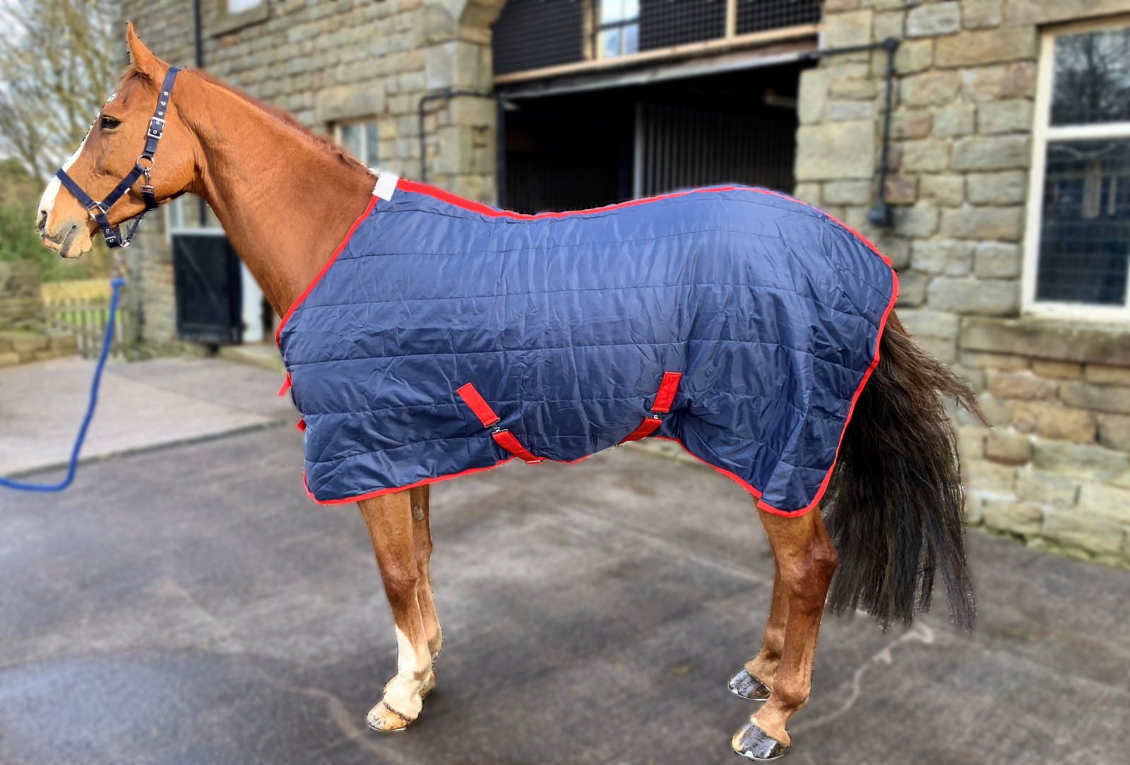 Stable Horse / Pony Rug 100g fill Soft Quilted Standard  - All Sizes 3'0" - 7'0"