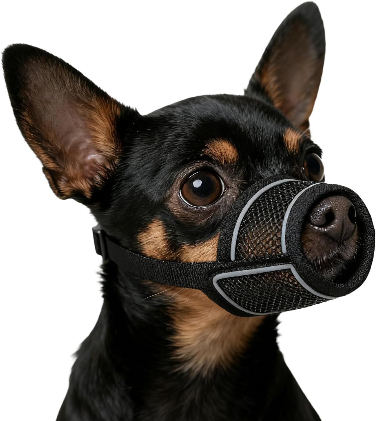 Dog Muzzle Soft Air Mesh with Reflective Strips for Small Medium Large Dogs Biti