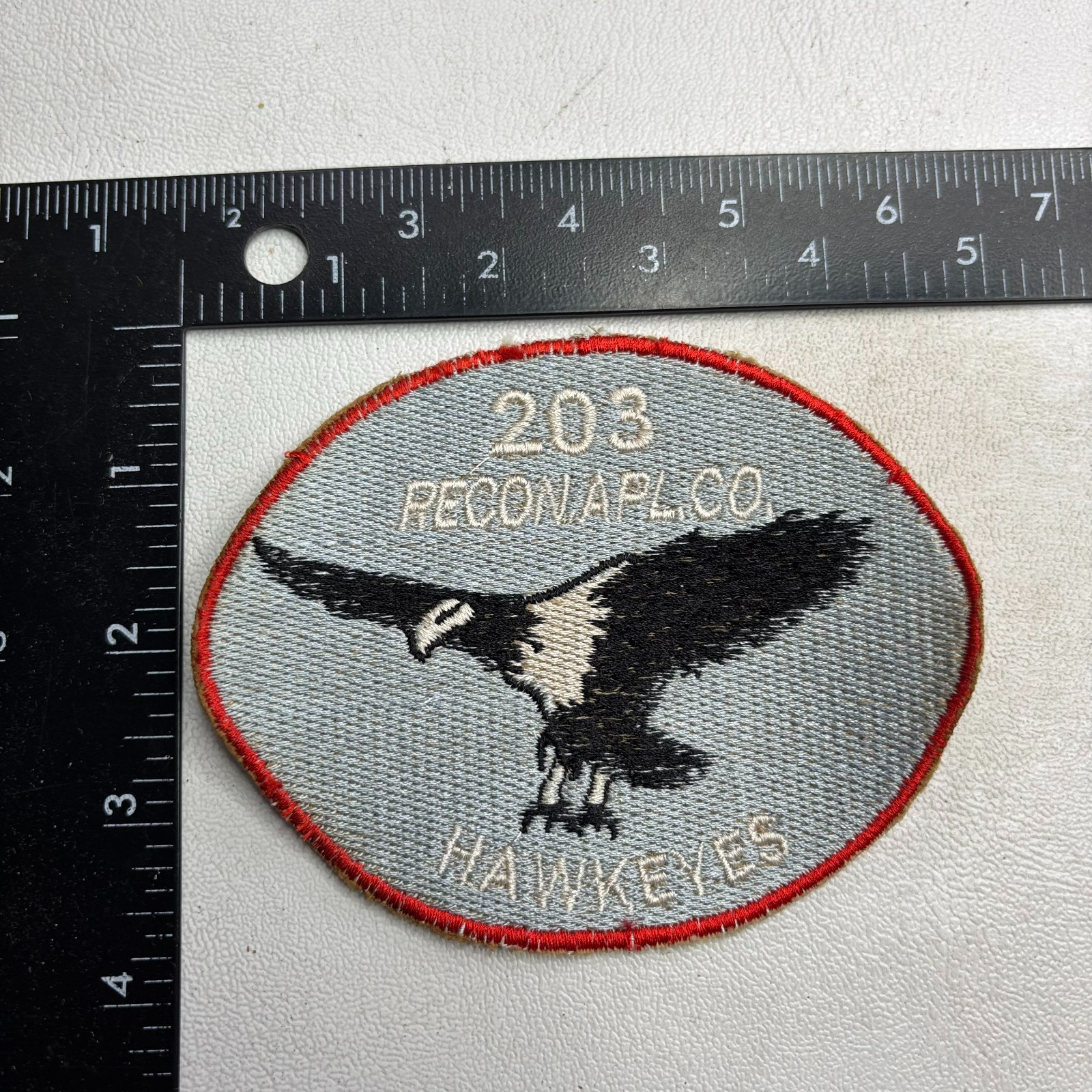 Old Look, Recent Make? 203rd Reconnaissance Airplane Company HAWKEYES Patch 64WF