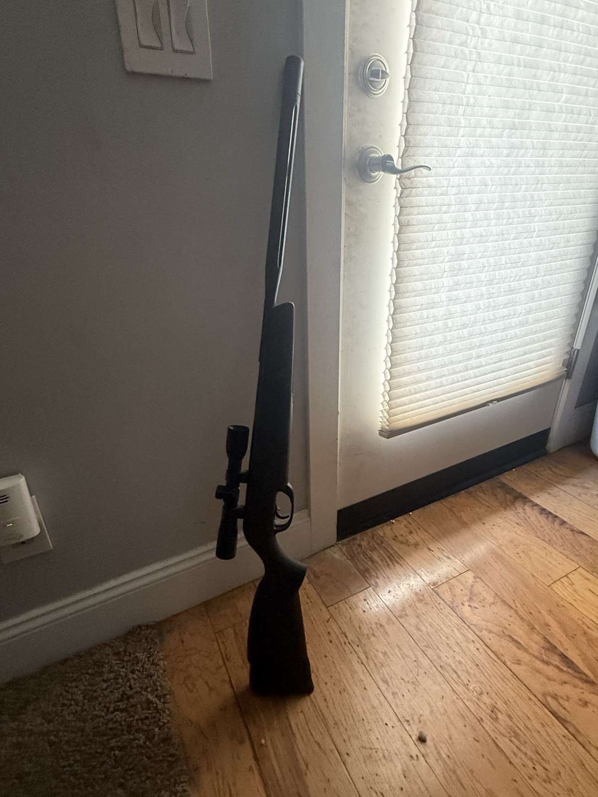 Gamo Wildcat Whisper With Gamo Ammo Plastic Pointed And Holo Over 600 Rounds