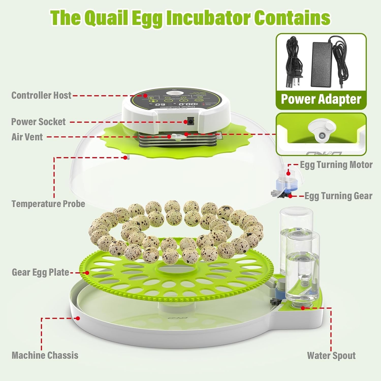 Smart Quail Egg Incubator 40 Eggs Auto Turner Humidity Control