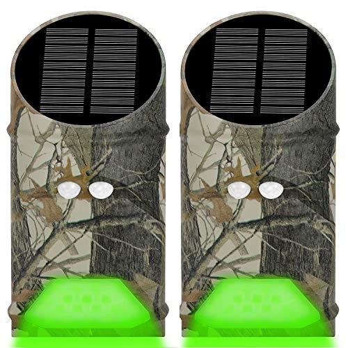 Solar Green Game Feeder Lights with Motion Activated for
