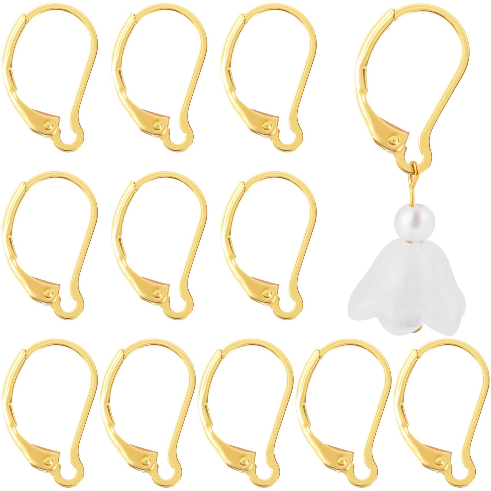 Alpinleux 12 Pcs Leverback Earring Hooks, Stainless Steel Clasp Hoop, Hypoall...