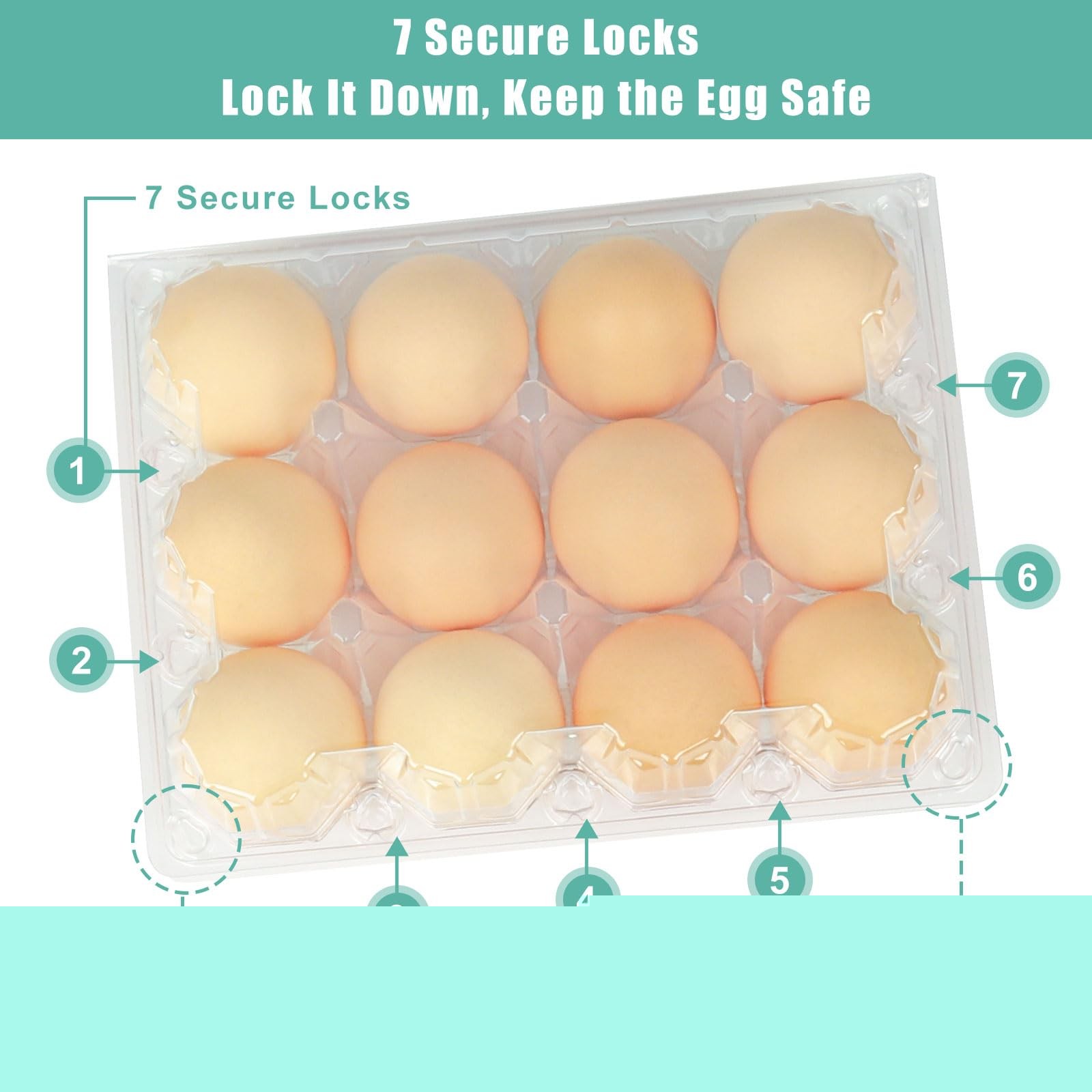 100 Pack Egg Cartons Bulk, Clear Plastic 12-Egg Cartons (3×4), Stackable Egg