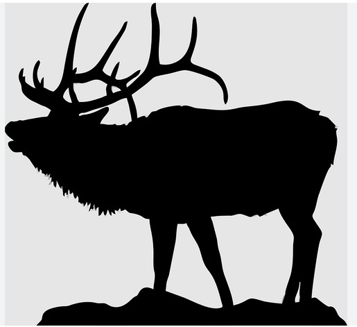 Elk Adopt Halloween Picks Items with me