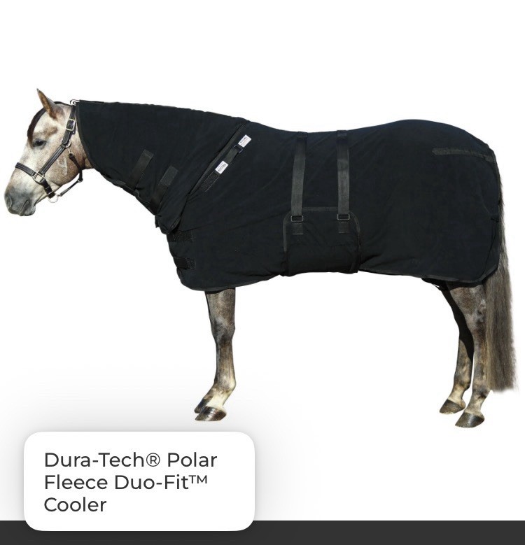 Schneider’s Dura-Tech Duo-Fit Horse Cooler 86” Black freshly washed