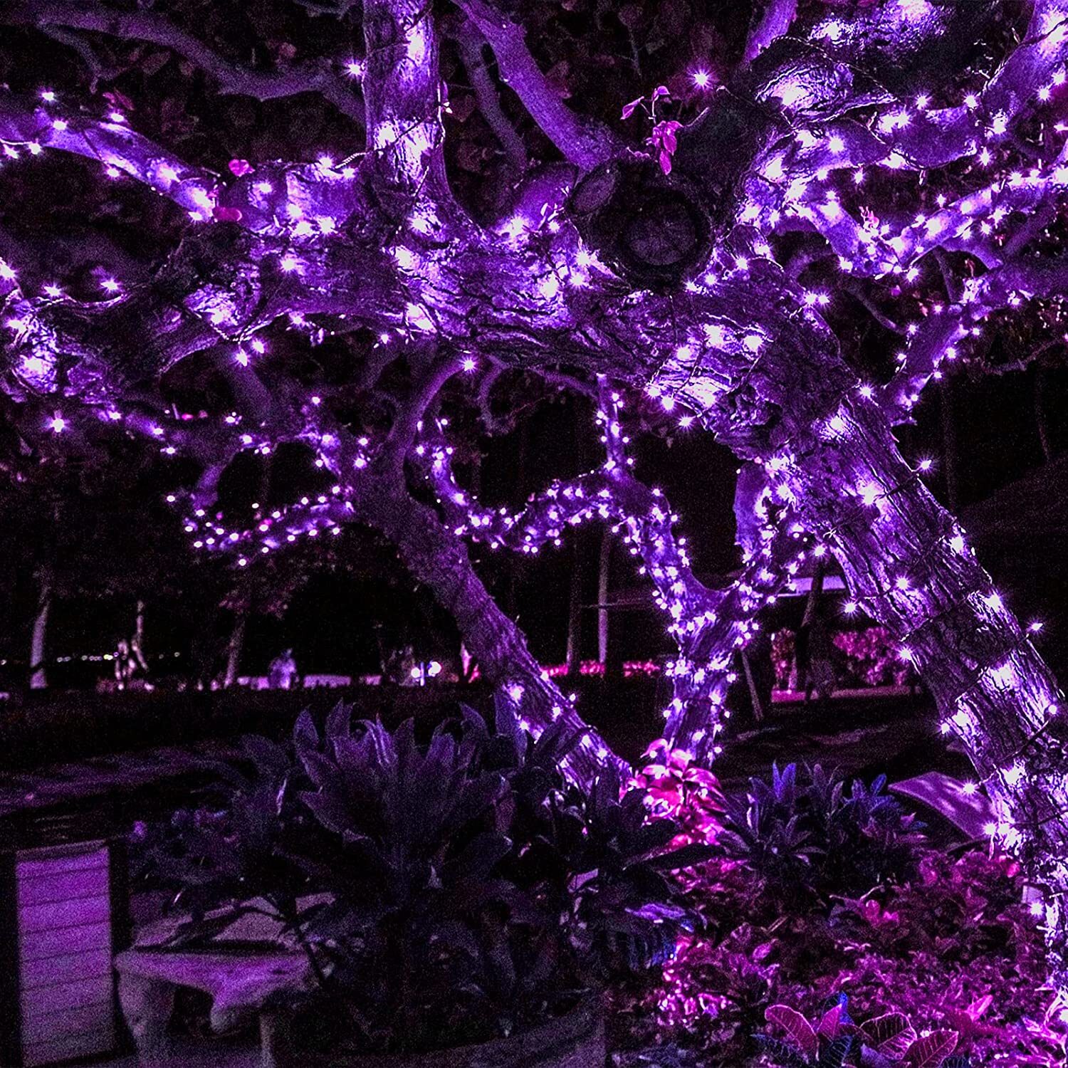 Solar LED Light String, Solar Powered 39 FT 100 Hanging Small lights 8 Modes