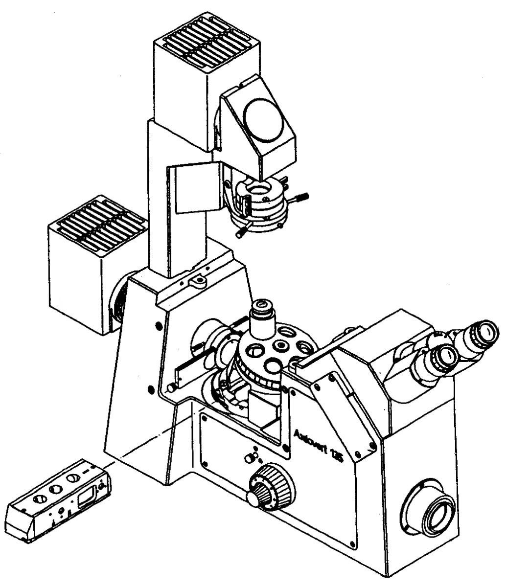 Zeiss Axiovert 100 Inverted Phase Contrast DIC Microscope