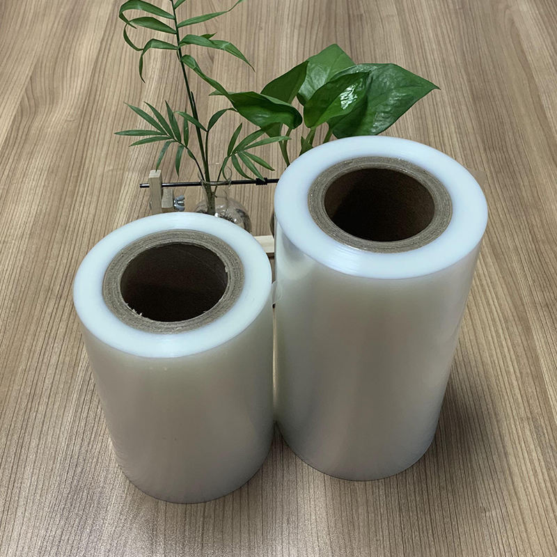 PP Vacuum Skin Packaging Film/Surlyn Film for Skin Packaging Machine Food Grade