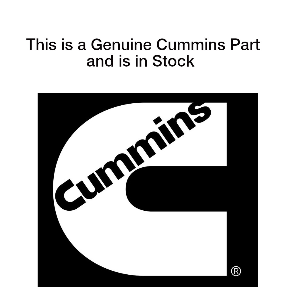 New! Original Cummins Case,Storage  3163616