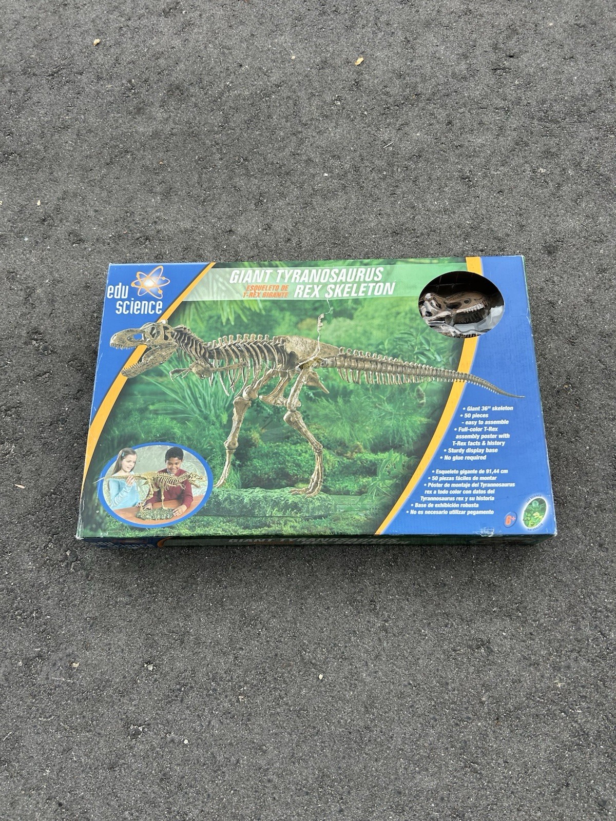 EDU SCIENCE GIANT 3' TYRANOSAURUS REX SKELETON MODEL NEW IN BOX SEALED