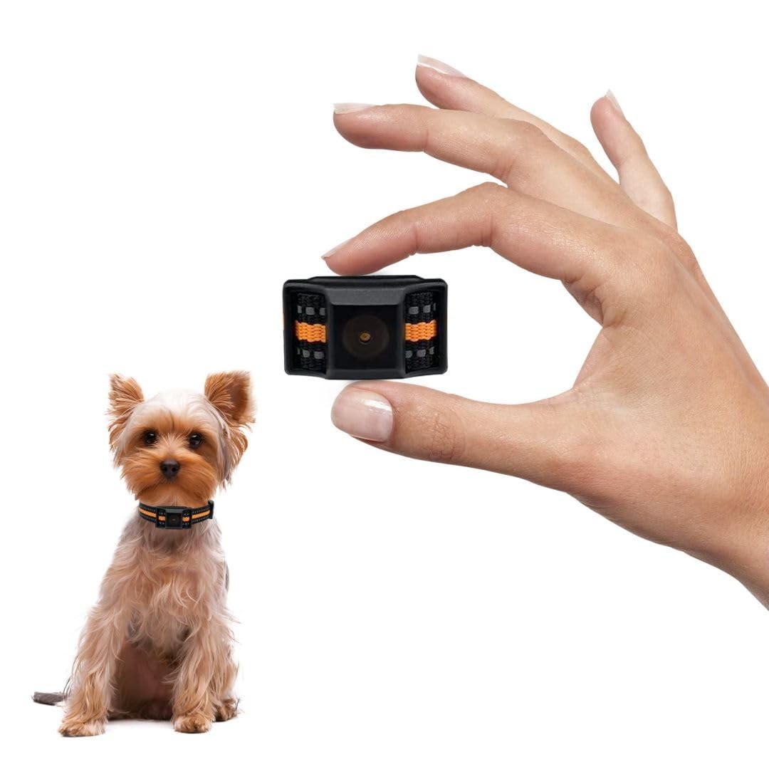 Tiniest Bark Collar for Small Dogs 5-15lbs, Only 1.6 * 1in & 0.42oz, No Shock...