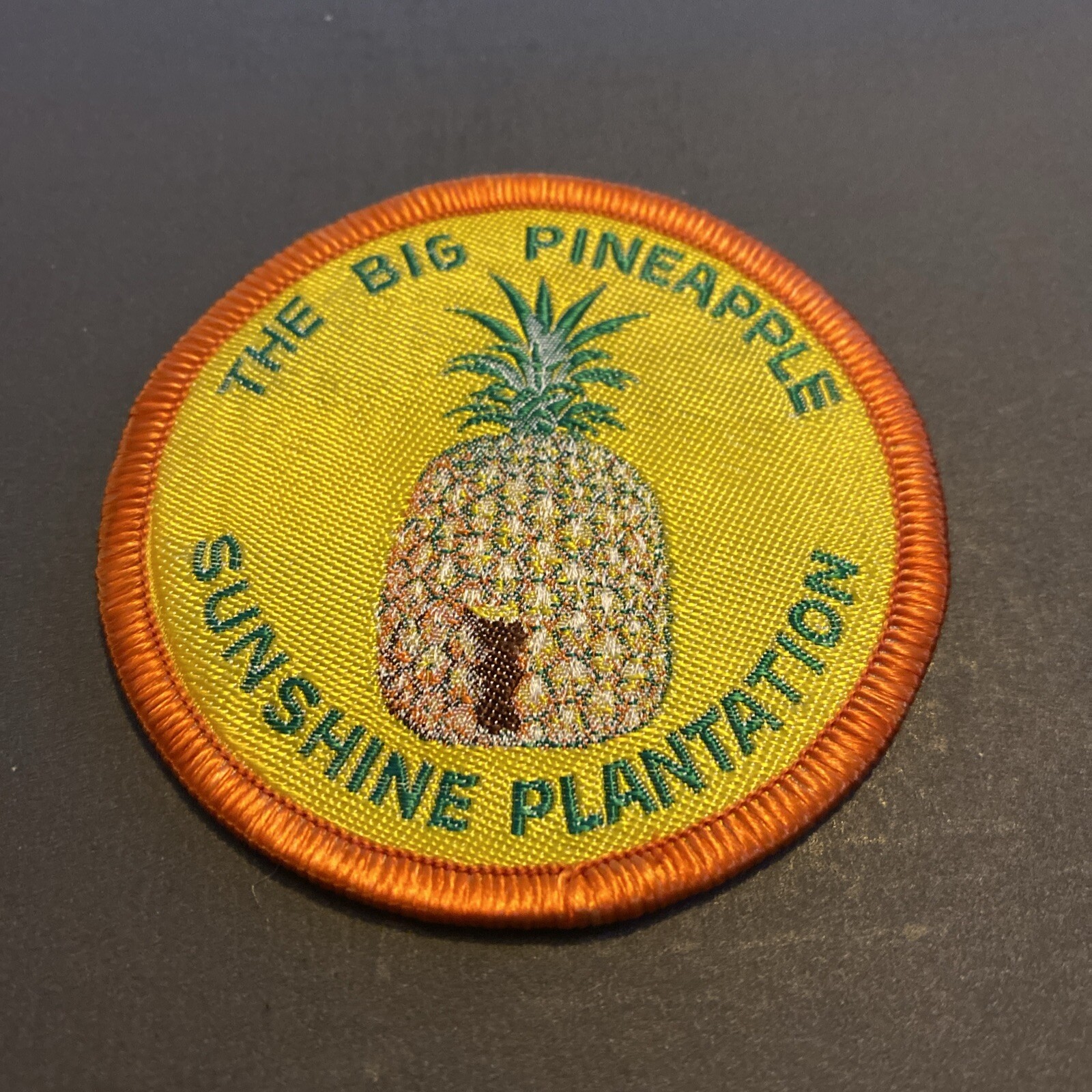 VTG The Big Pineapple SUNSHINE PLANTATION Woven Souvenir Sew On Patch