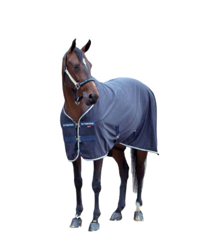 B Vertigo Wilson Multifunction Thermo Blanket 69″ Blue Fleece