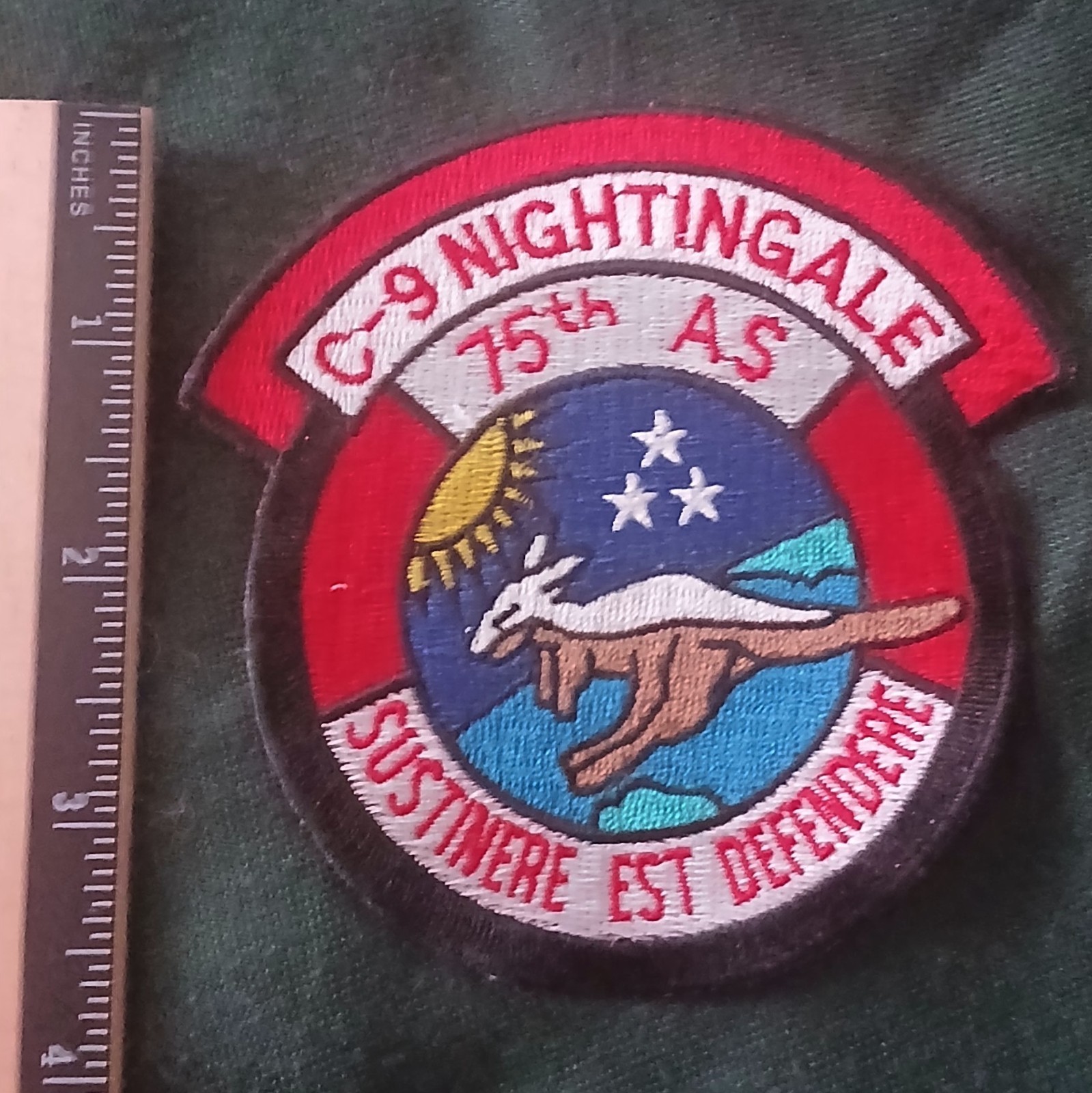 Patch USAF Sqd. 75TH ASC-9 Nightingale