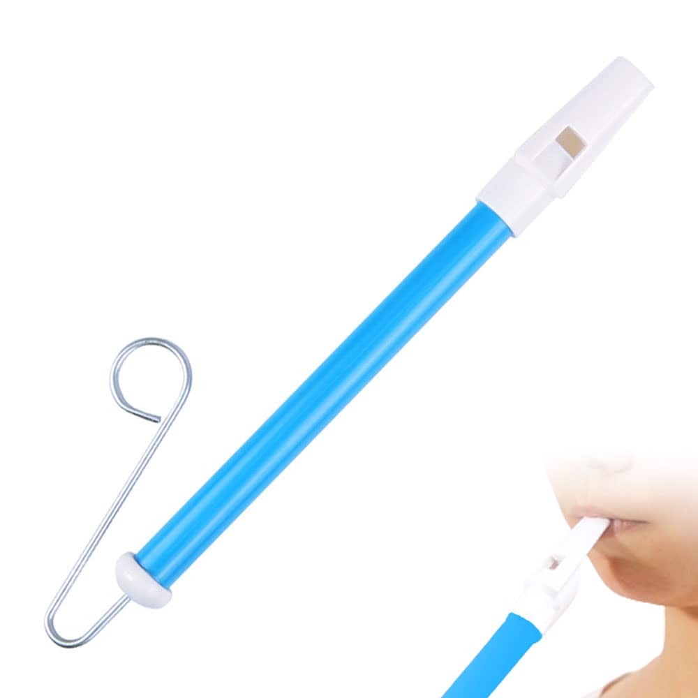 Slide Whistle Instrument Kazoo Flute Music Lovers Party Gift Toy Noise Maker