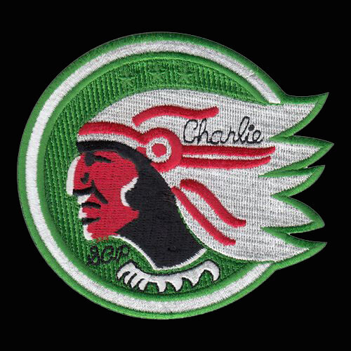 USAF 740th MISSILE SQ-Charlie Flight-MINOT AFB, ND- ORIGINAL USAF USSF VEL PATCH
