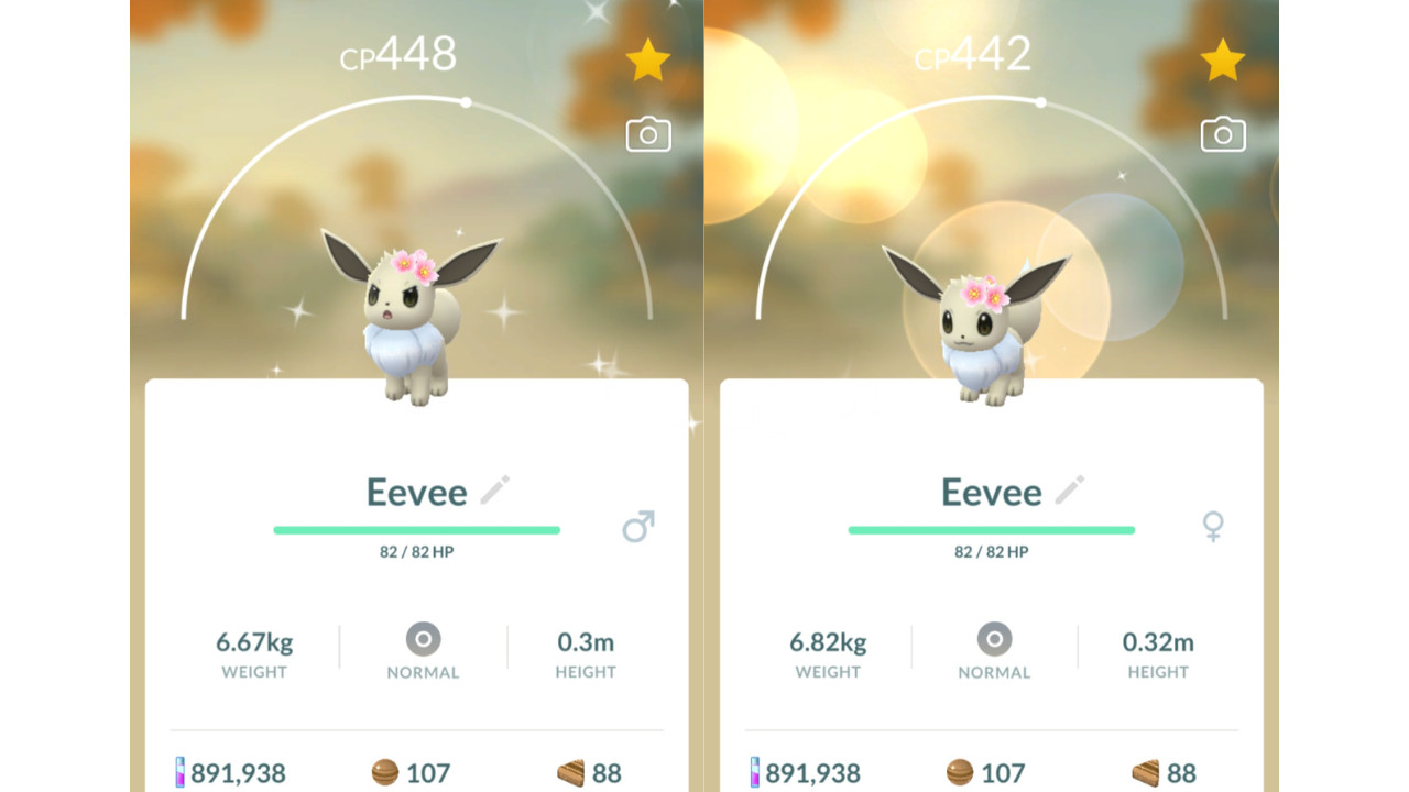 🌸Shiny Eevee (Dazzling Eevee) Cherry Blossom Pokemon GO🌸 Registered Only