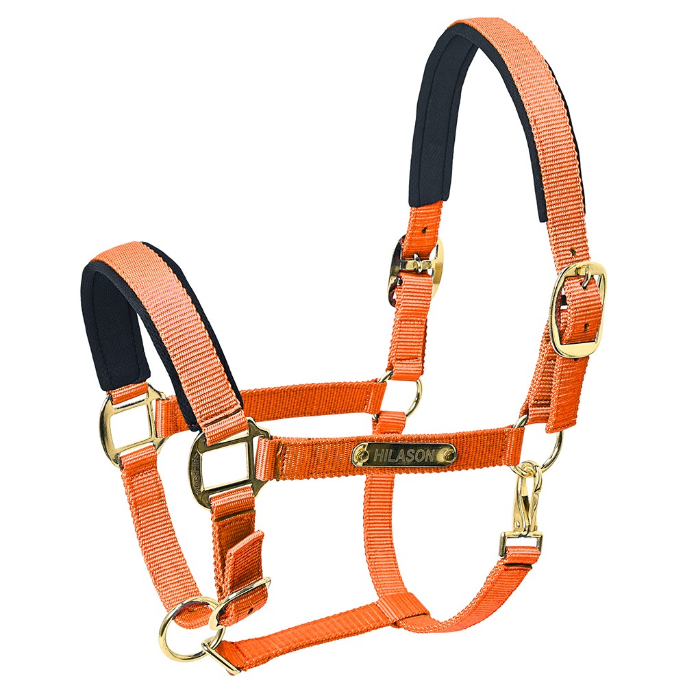 X-Small HILASON Western Horse Top Grade Nylon Comfortable & Flexible Halter