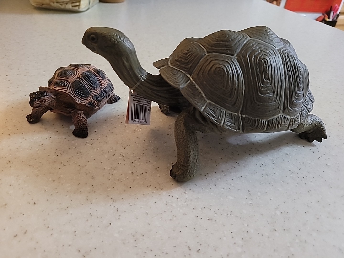 Super Large Incredible Creatures 260729 Galapagos Adult Tortoise figure Safari