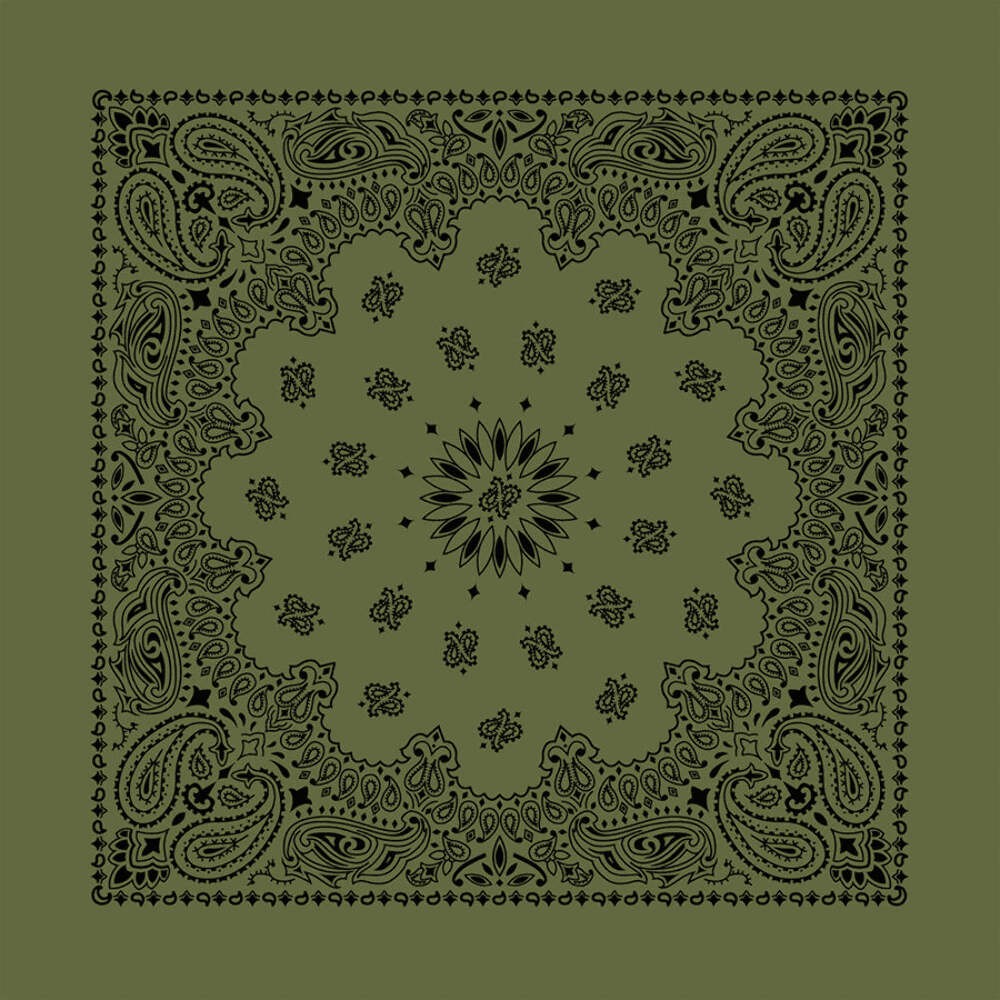 Carolina Creative Bandanna (Olive) Contemporary Paisley 22" x 22" 100% Cotton