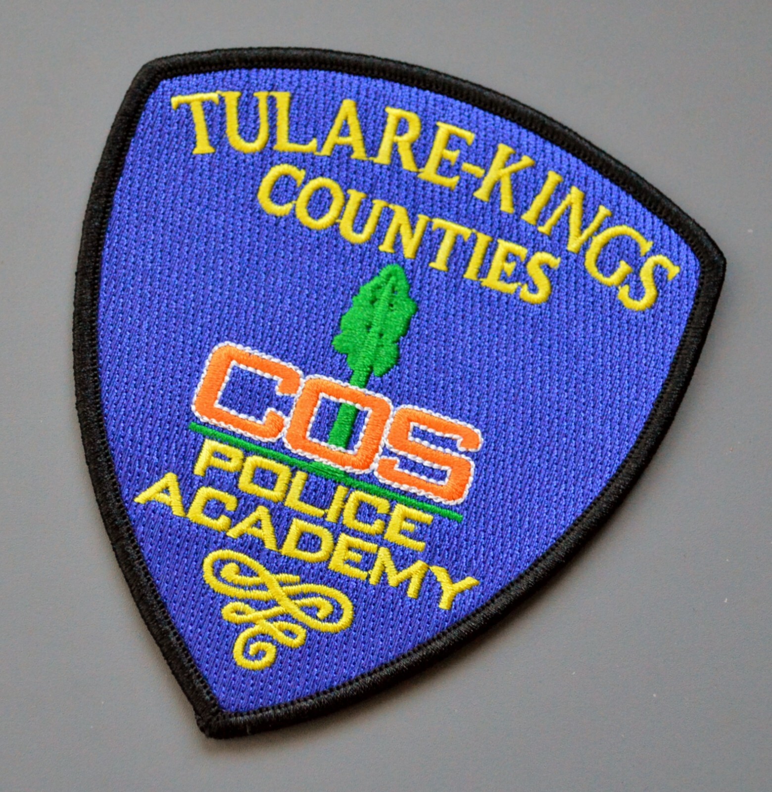 Tulare - Kings Counties Police Academy Patch ++ Mint CA