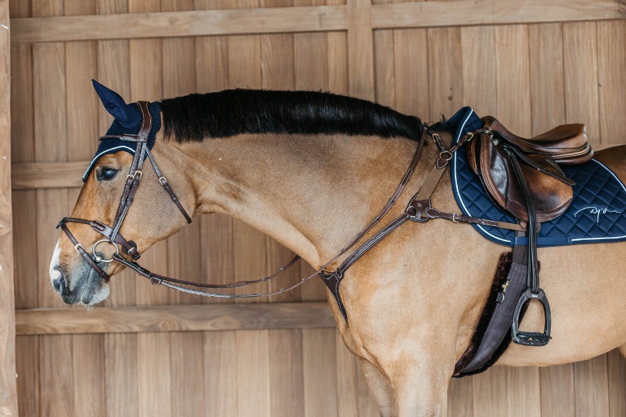 Dion Elastic Chest Harness (5-Point)