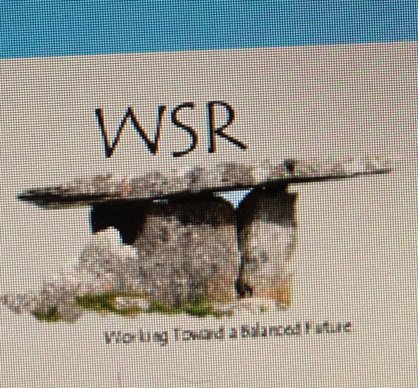 WSR Balance Test Equipment