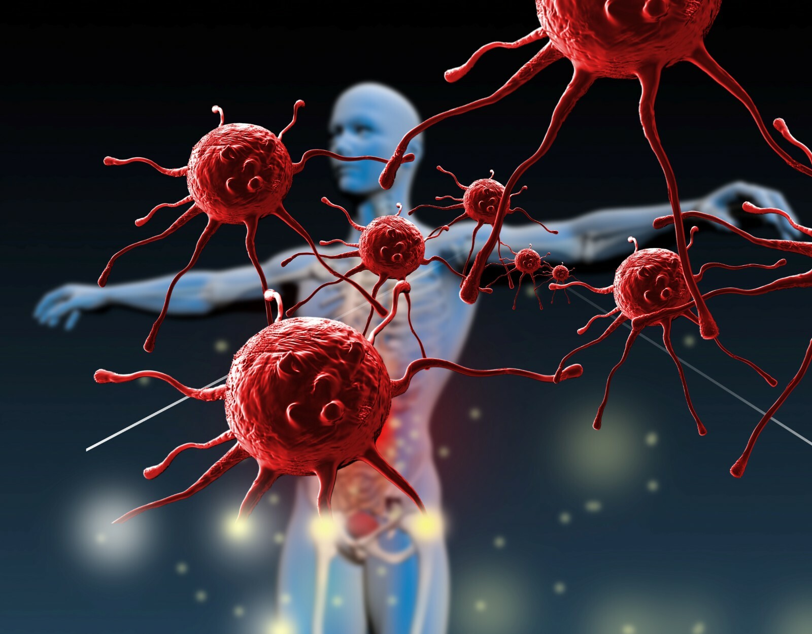 anti inflammation eating - BEET ROOT - super immune support 2 Bottles