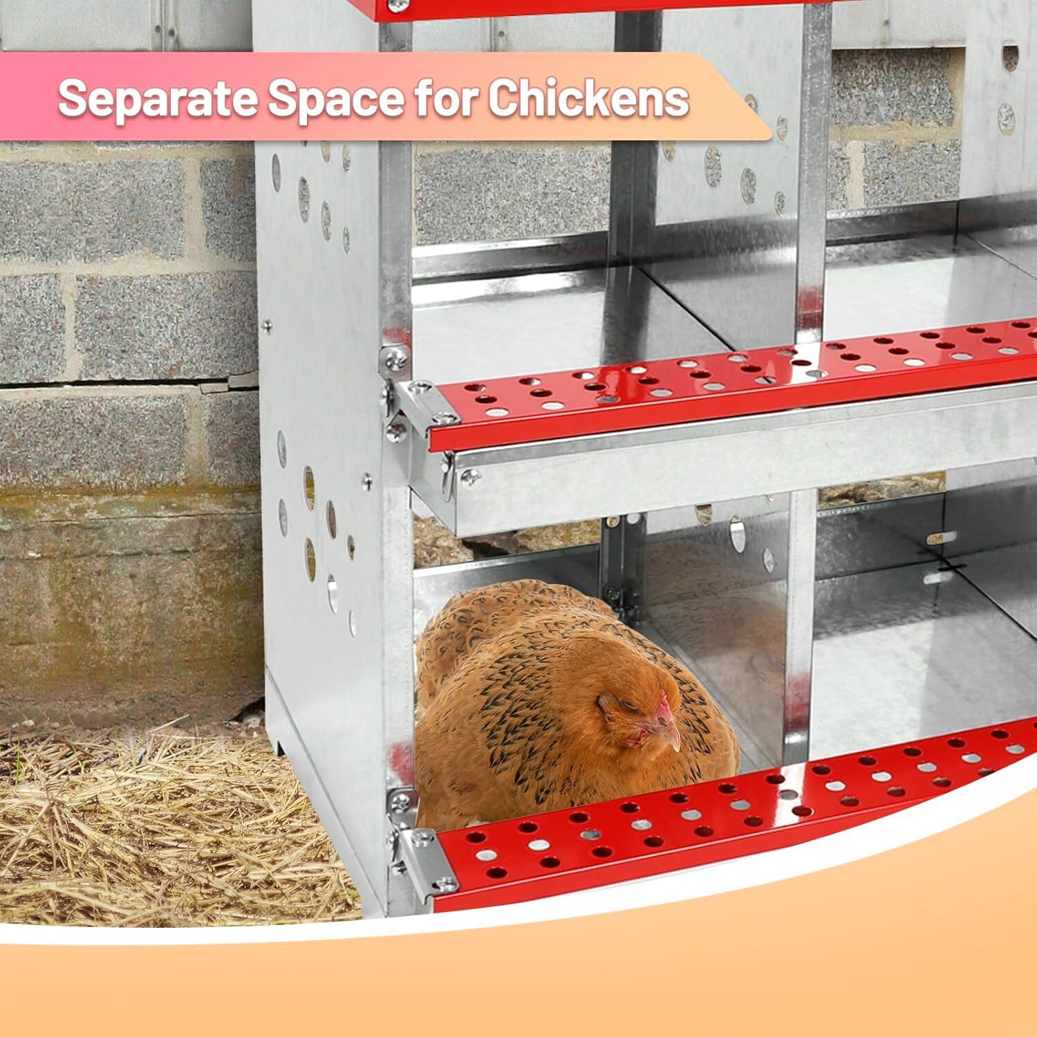 6 Compartment Nesting Boxes for Chickens,Galvanized Steel Chicken Laying Boxes