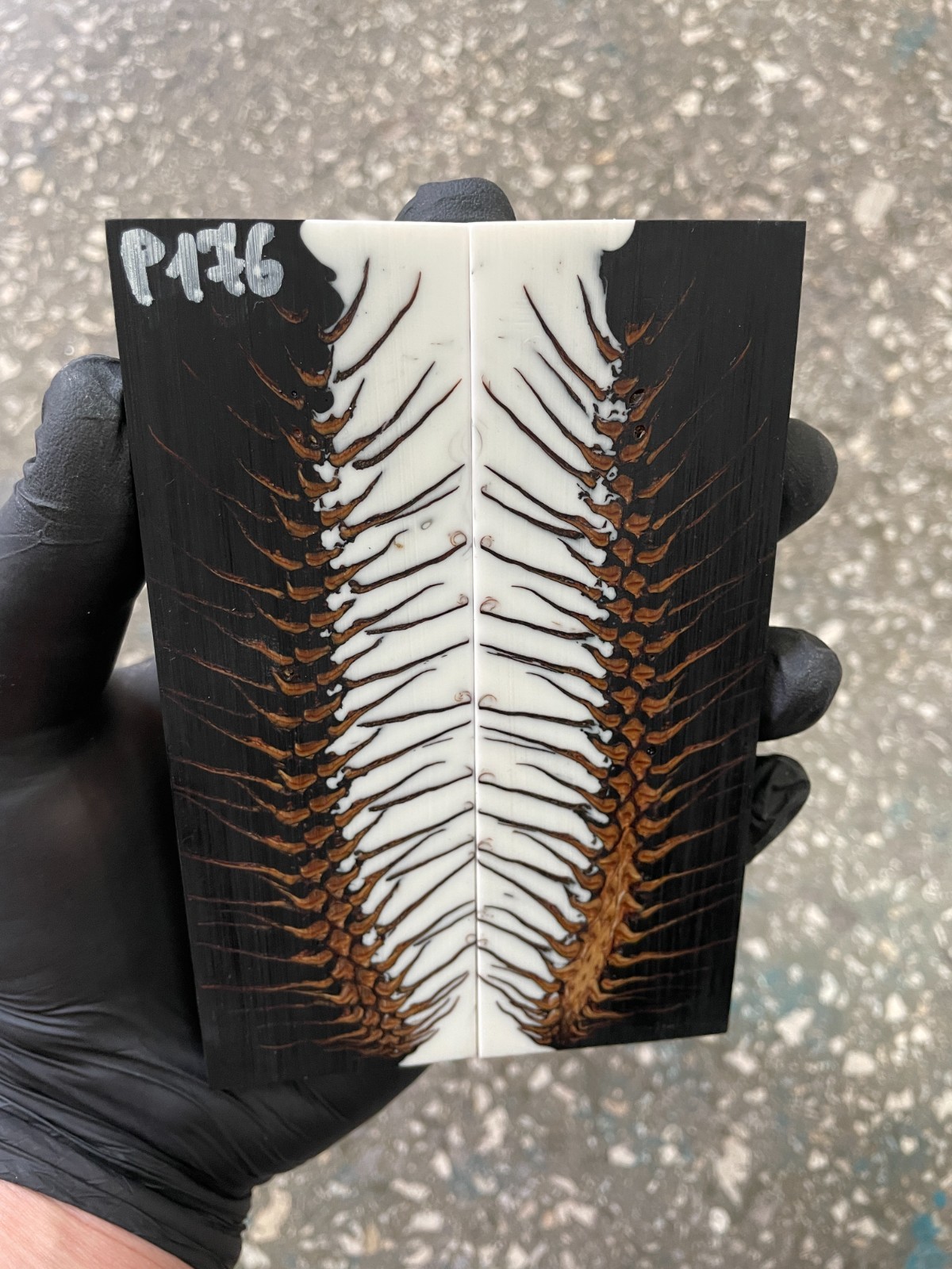 Pinecone Resin Knife Scales Stabilized Pair Handle Material Knifemaking P176