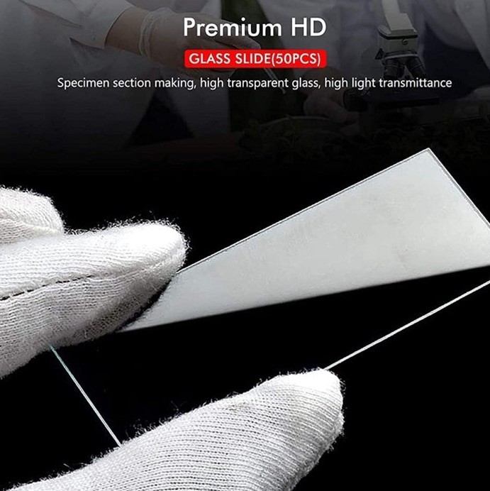 Microscope Slide and Cover Set (50 Ct.)