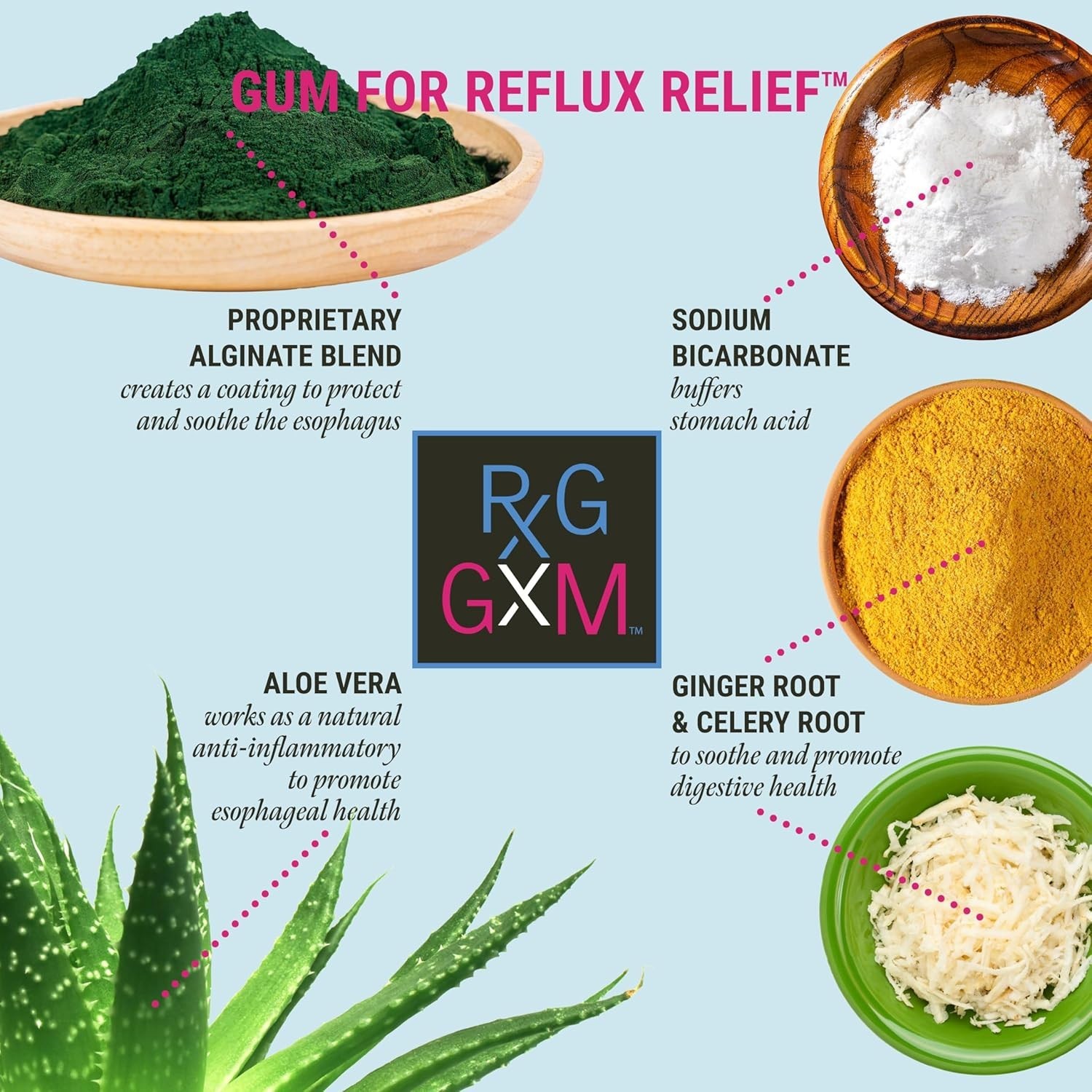 Berry Soothe Gum Alginate Therapy Sodium Bicarbonate Gum for Acid Reflux, Ora...